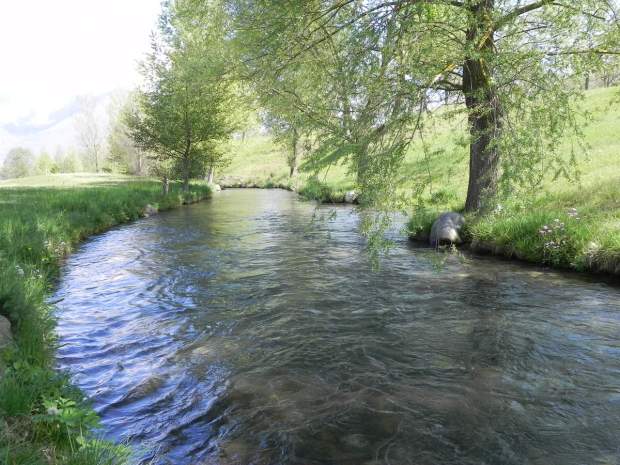 lac des gaves vélos